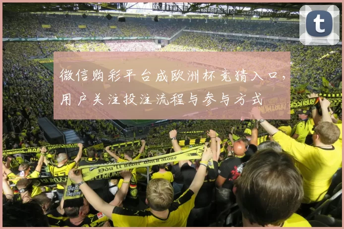 微信购彩平台成欧洲杯竞猜入口，用户关注投注流程与参与方式
