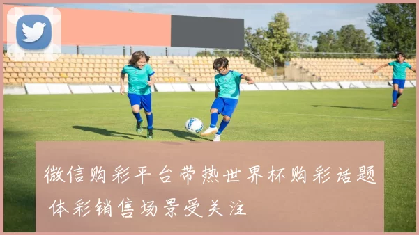 微信购彩平台带热世界杯购彩话题 体彩销售场景受关注