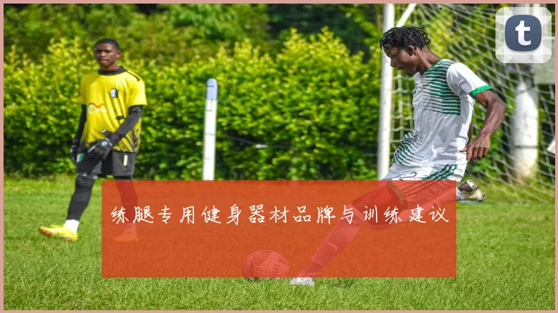 练腿专用健身器材品牌与训练建议