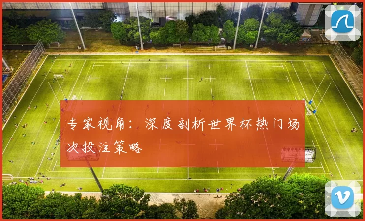 专家视角：深度剖析世界杯热门场次投注策略