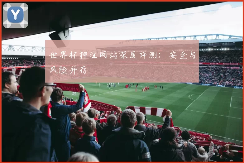 世界杯押注网站深度评测:安全与风险并存