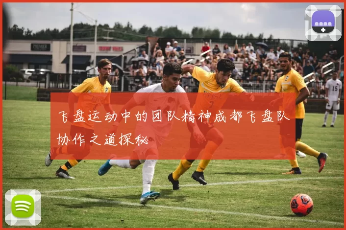 飞盘运动中的团队精神成都飞盘队协作之道探秘