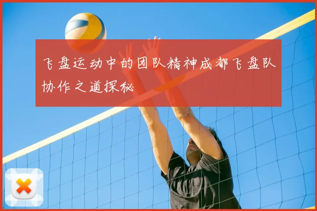 飞盘运动中的团队精神成都飞盘队协作之道探秘