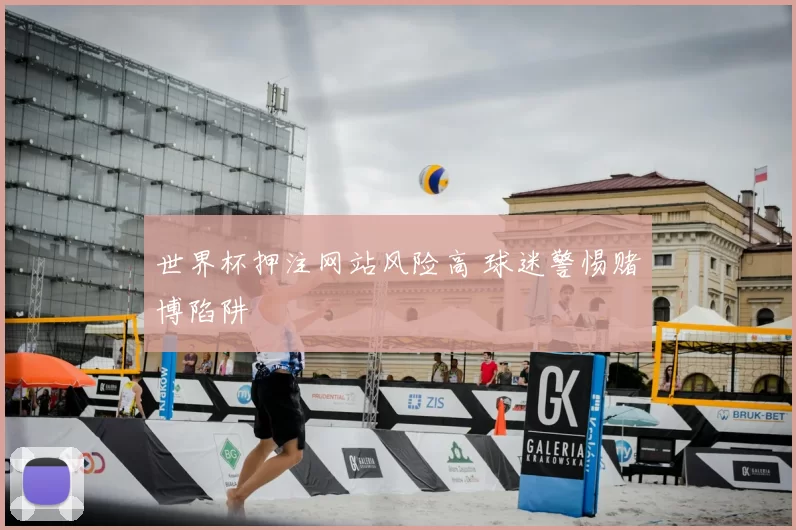 世界杯押注网站风险高 球迷警惕赌博陷阱