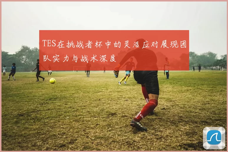 TES在挑战者杯中的灵活应对展现团队实力与战术深度